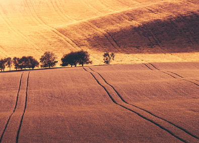 <b>六岳之首黄龙山</b>